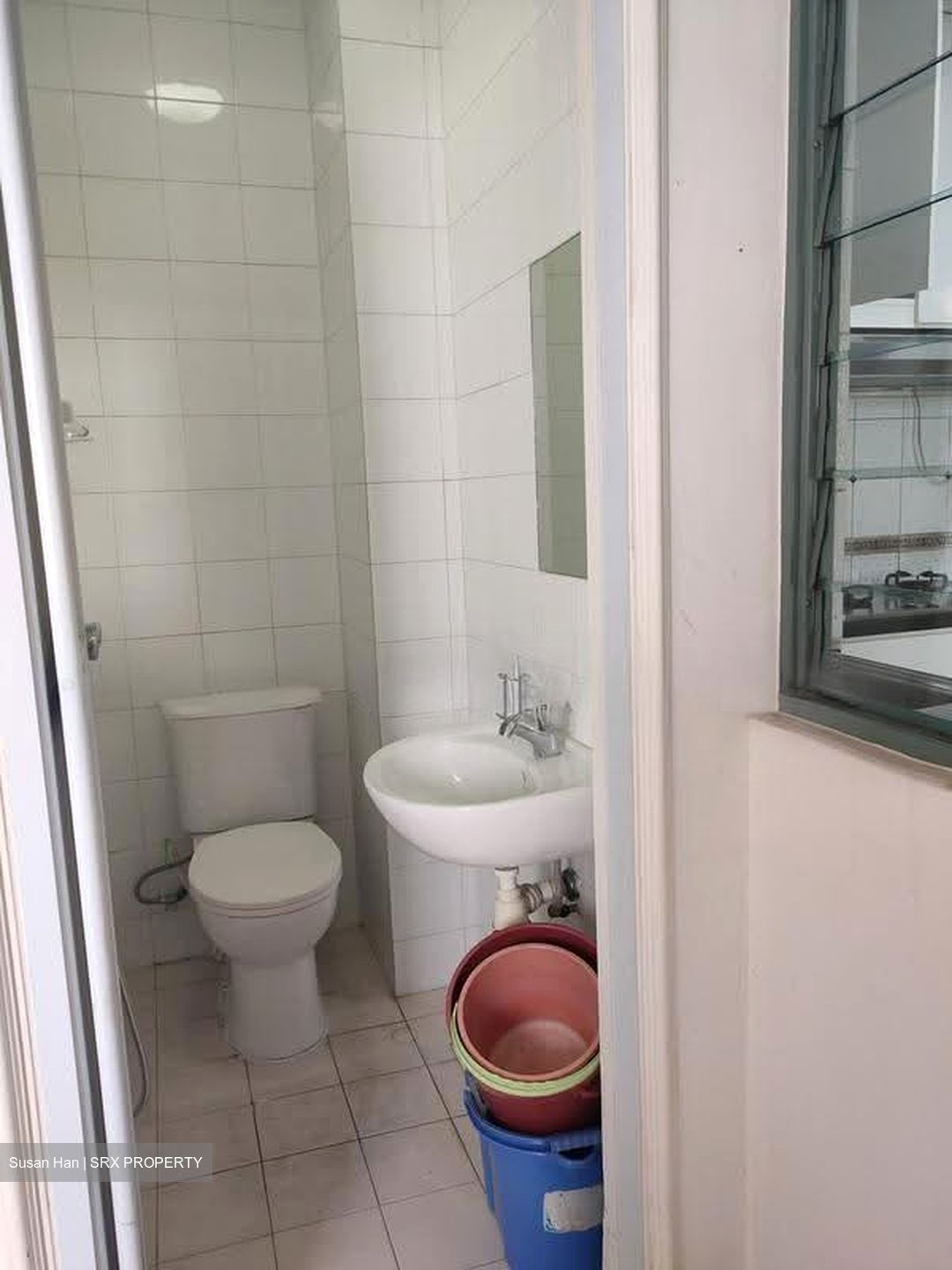 Serenity Park (D28), Condominium #624964831
